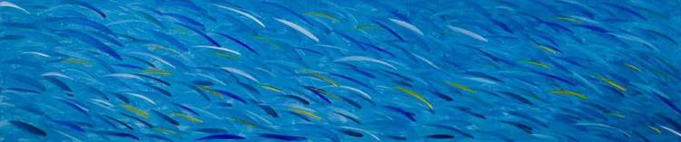 2008_Ricordi-di-un-estate